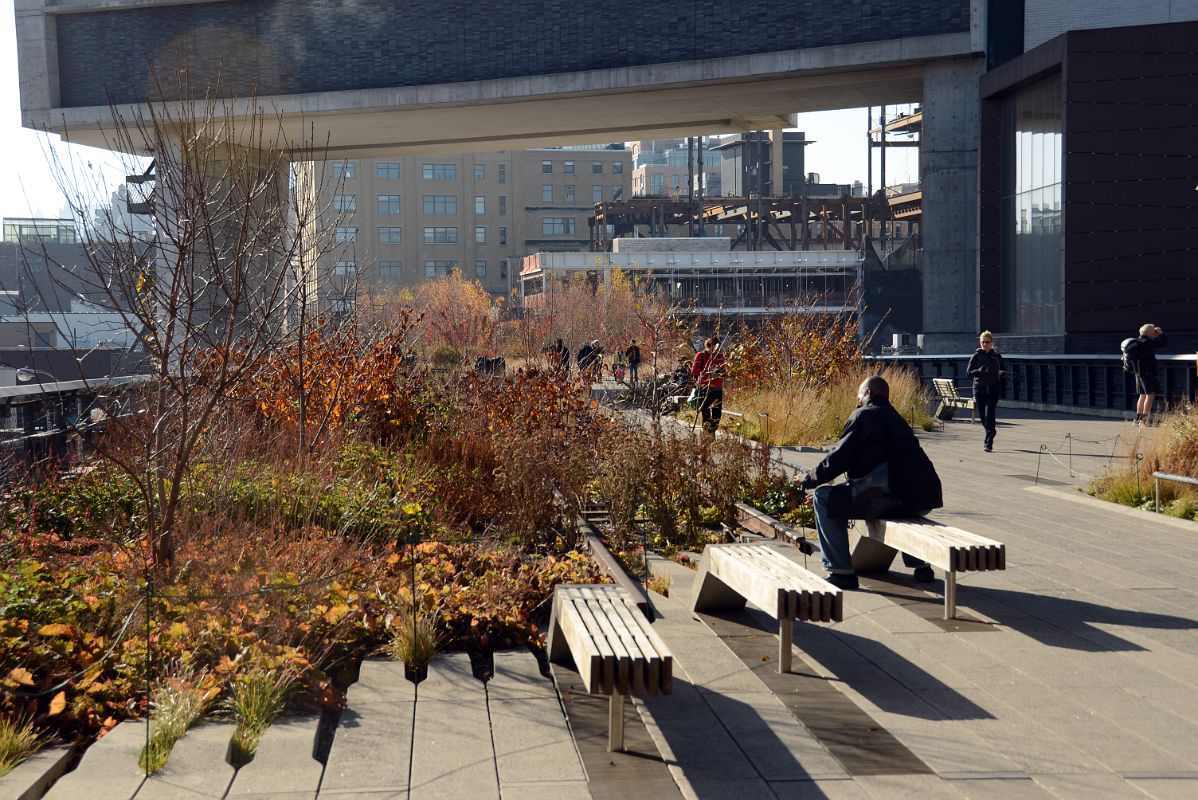 03-4 Fall Colours On The Plants Near The Standard High Line Hotel On The New York High Line